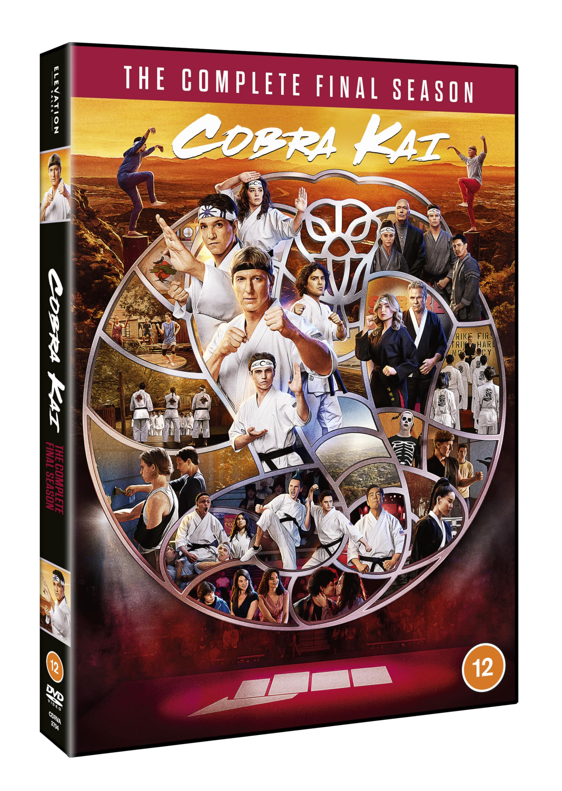 Cobra Kai: Season 6 [DVD]