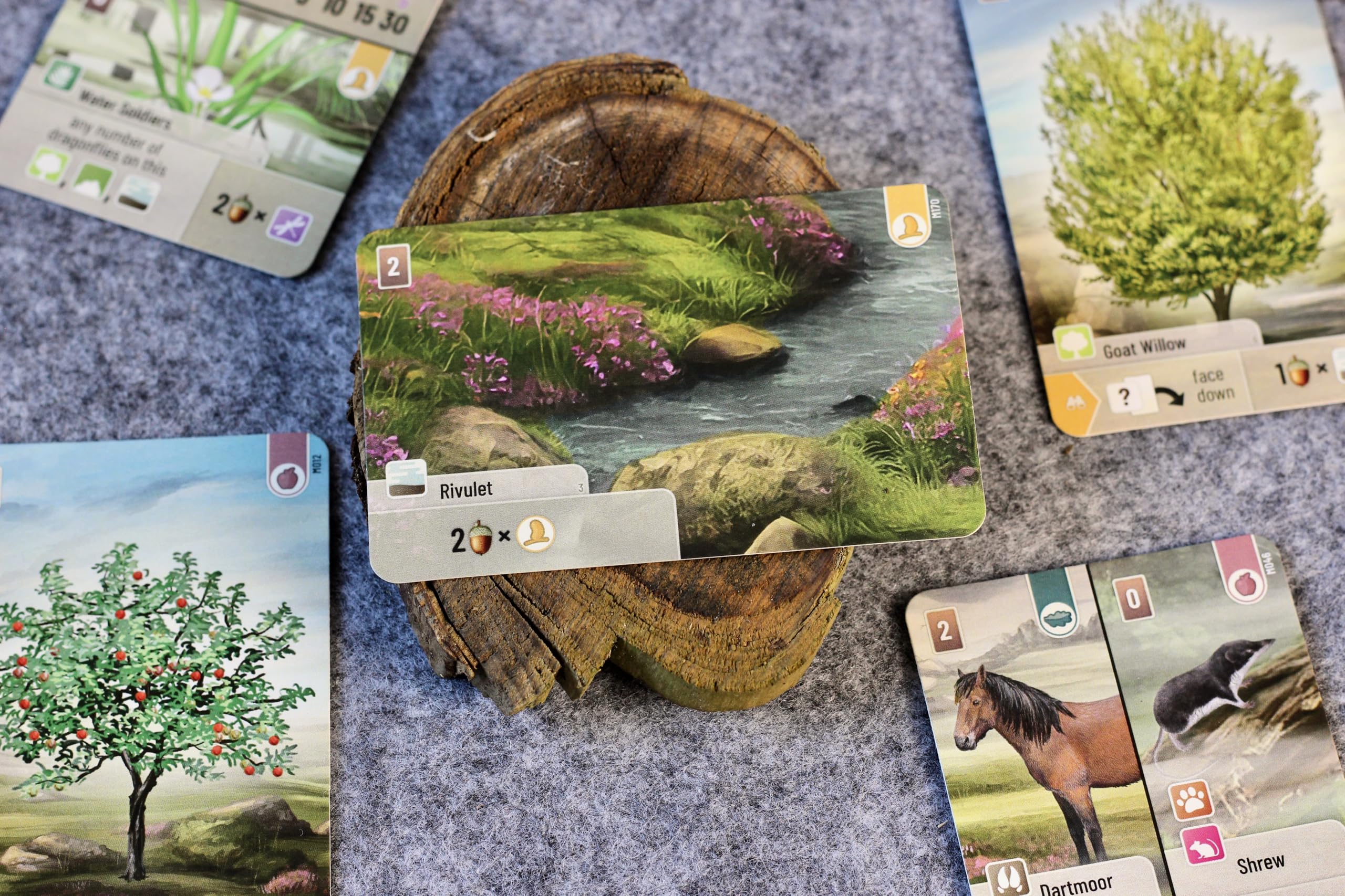 Asmodee Forest Shuffle: Dartmoor Family Card Game | Ages 10+ | 2-4 Players 2