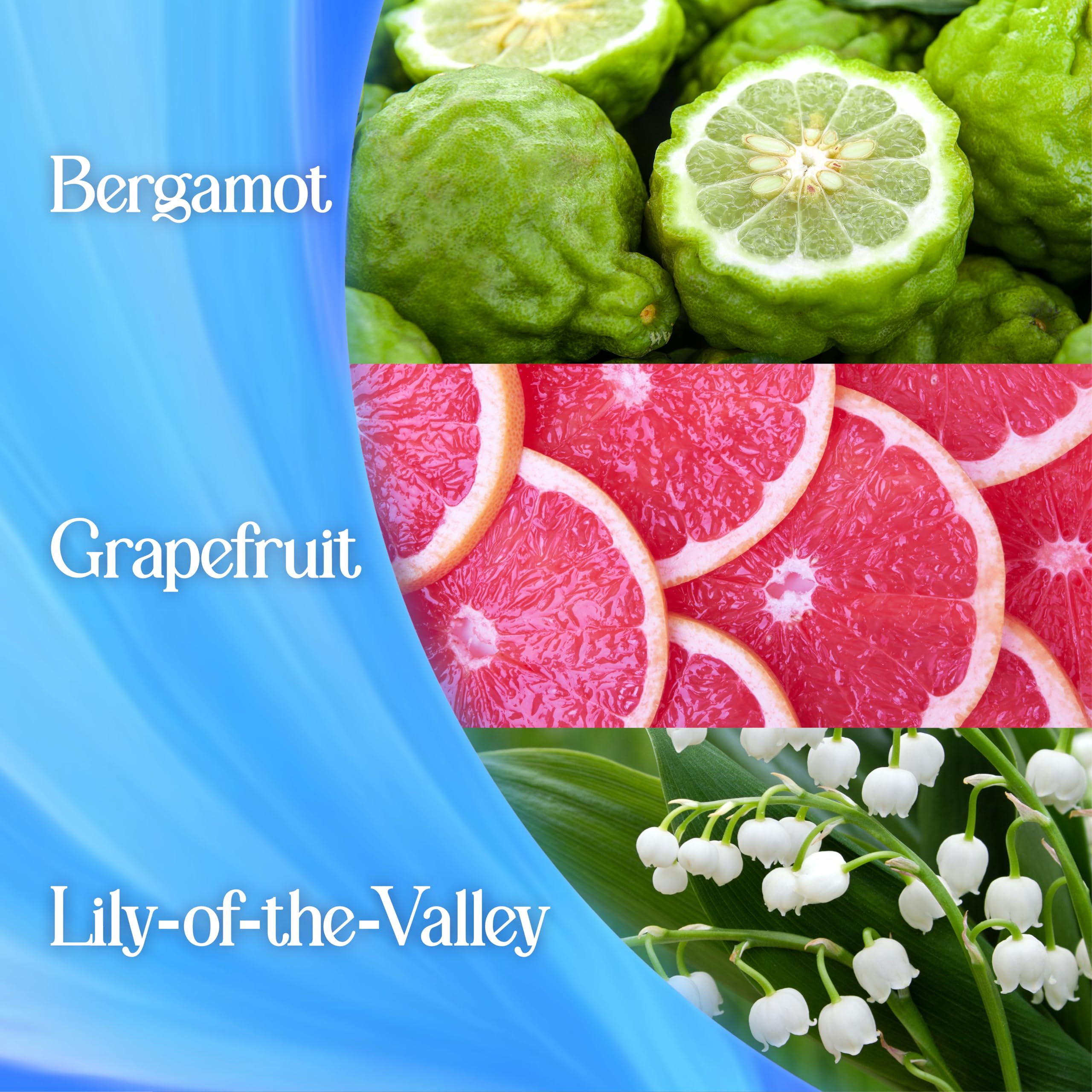 Surf - Magnifi-Scent Wash Aqua Bliss Laundry Liquid Detergent 10