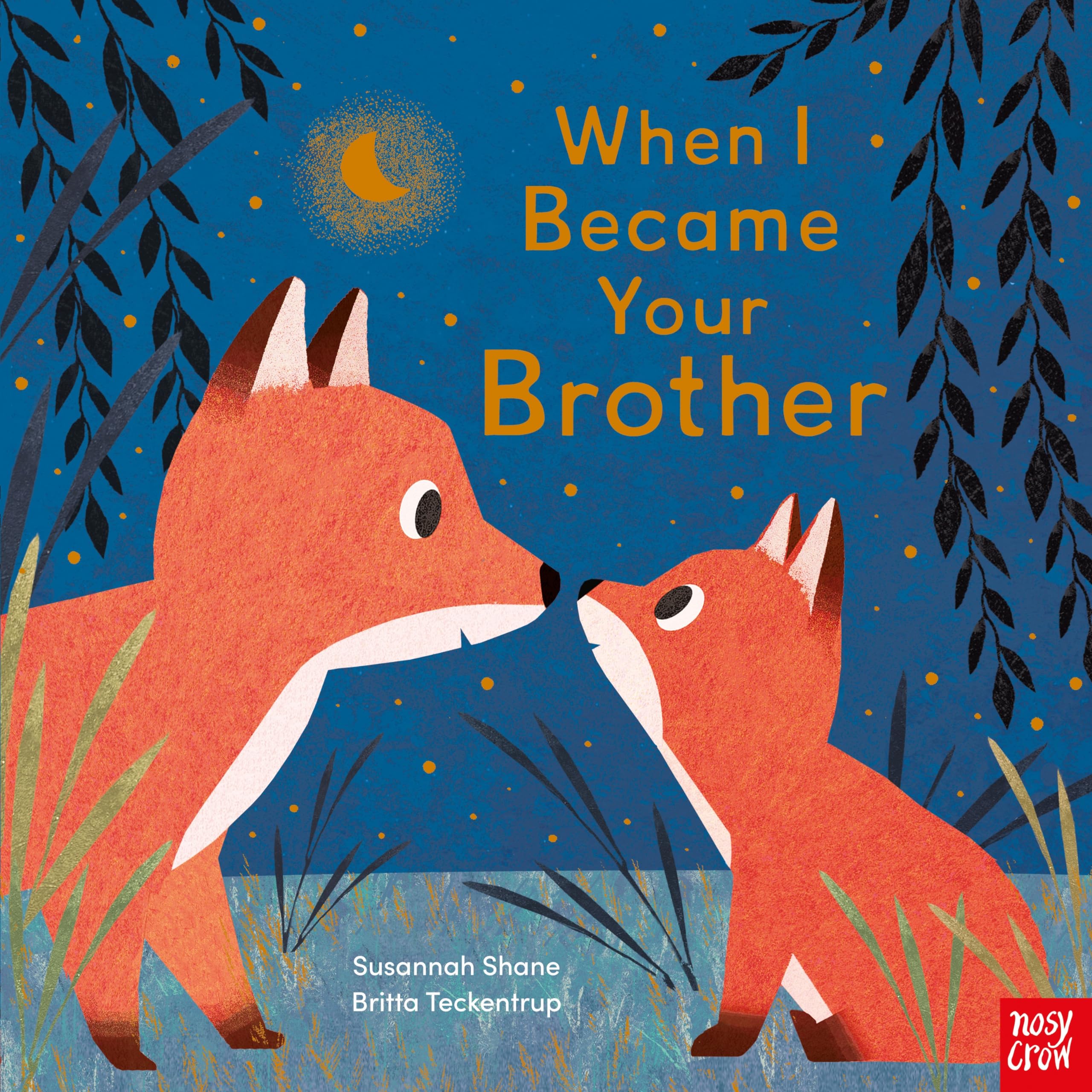 Nosy Crow When I Became Your Brother Picture Book | Ages 2-5 | Paperback
