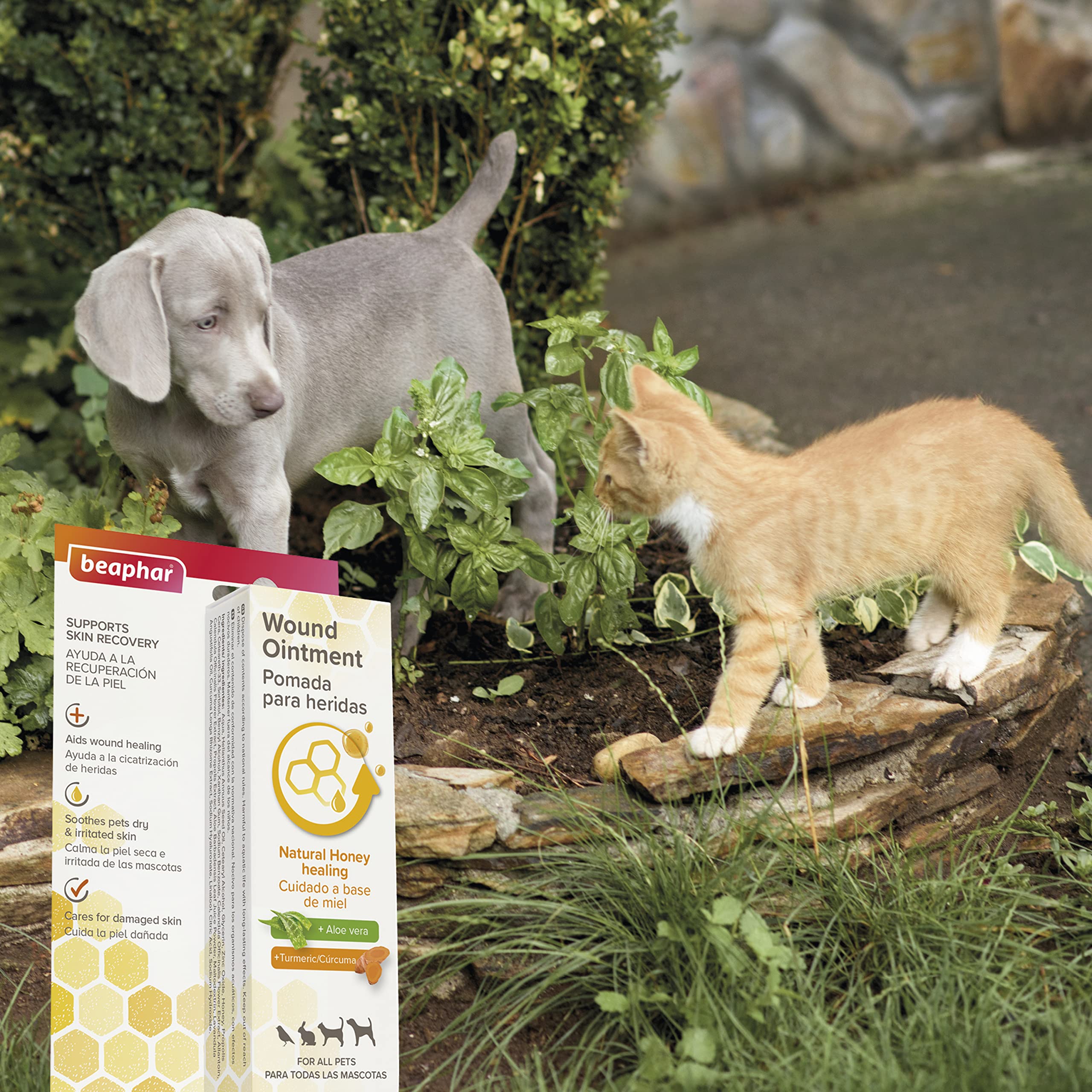 Beaphar Derma+ Wound Cream for Pets - Soothing & Healing Support | 30ml 6