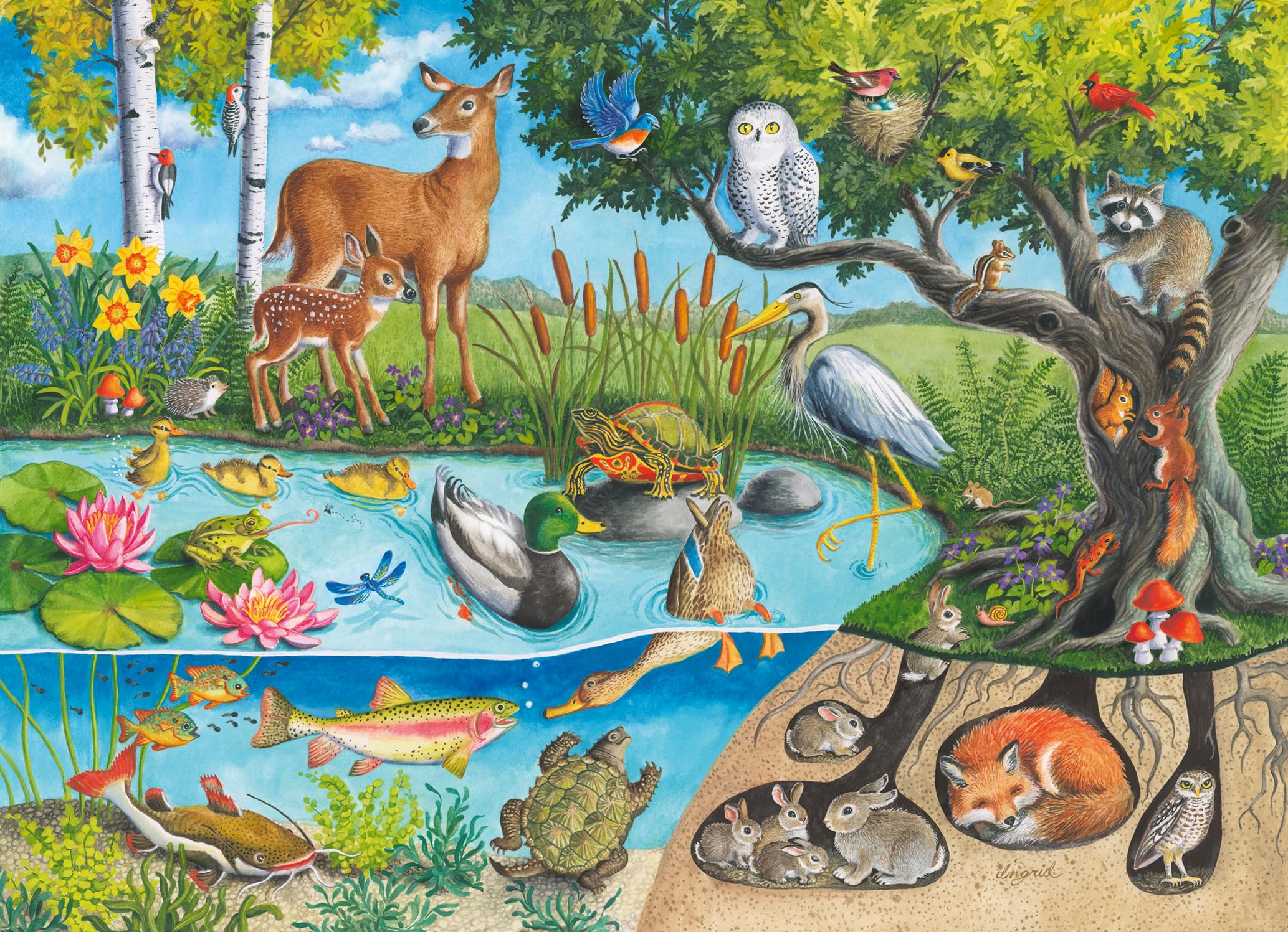 Ravensburger Animals Above & Below 60-Piece Puzzle - Educational Floor Puzzle for Kids 4+ 1