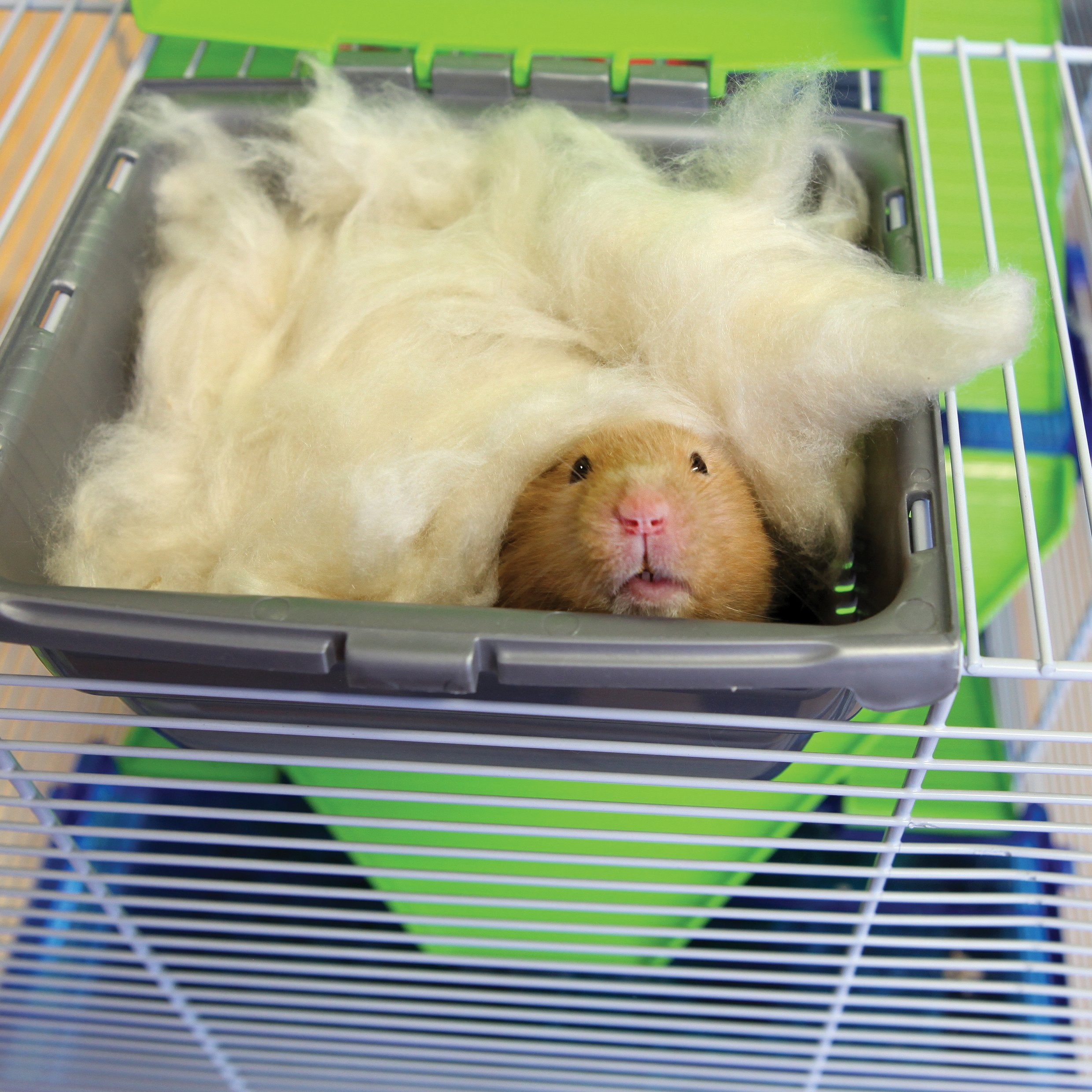 Rosewood Naturals Soft n Safe Animal Bedding - 100% Natural Kapok Fibre | 20g Pack