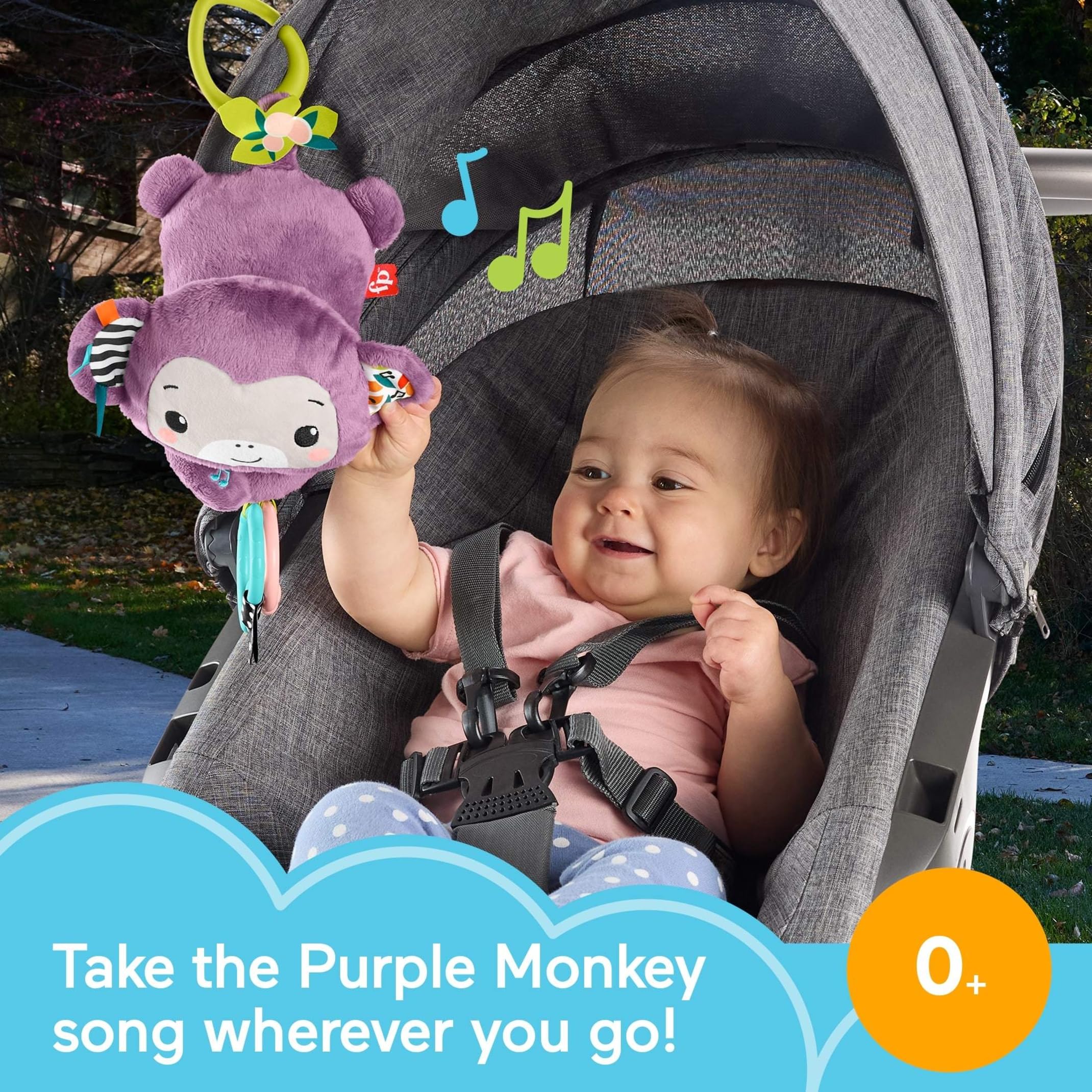 Fisher-Price Sing & Go Purple Monkey Stroller Toy - Musical Sensory Toy for Newborns 6