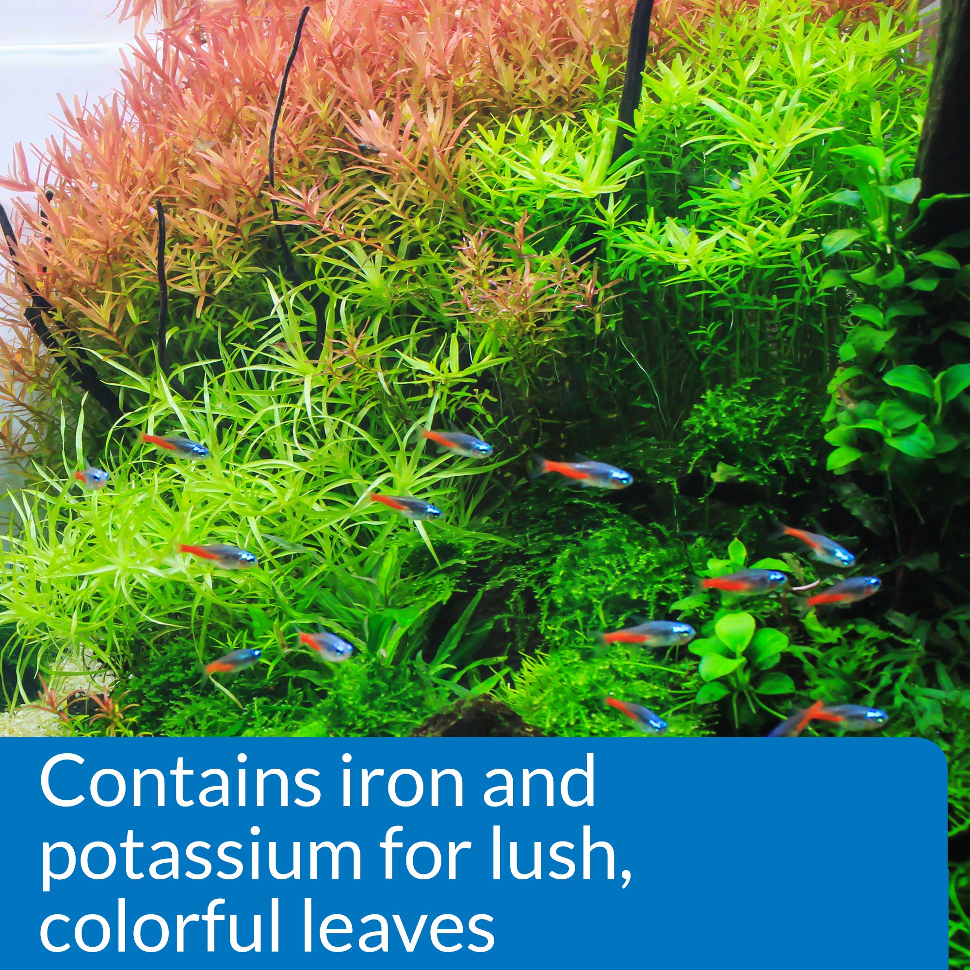 API Leaf Zone Plant Fertilizer - Promotes Hardy, Colorful Leaves | 473 ml Liquid 3