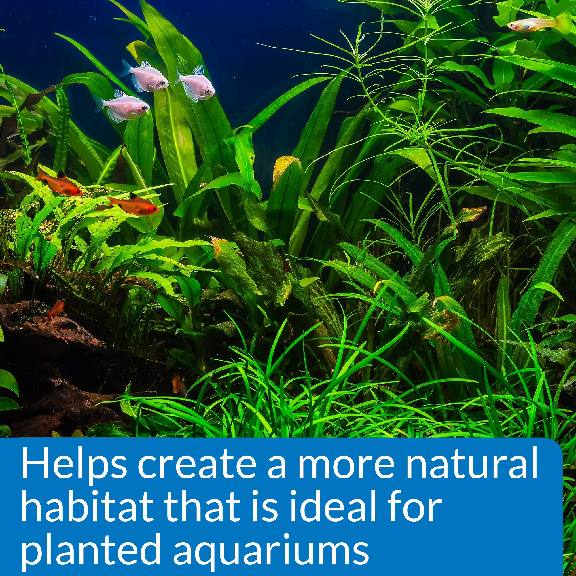 API GH & KH Test Kit for Freshwater Aquariums | Measures Water Hardness 6