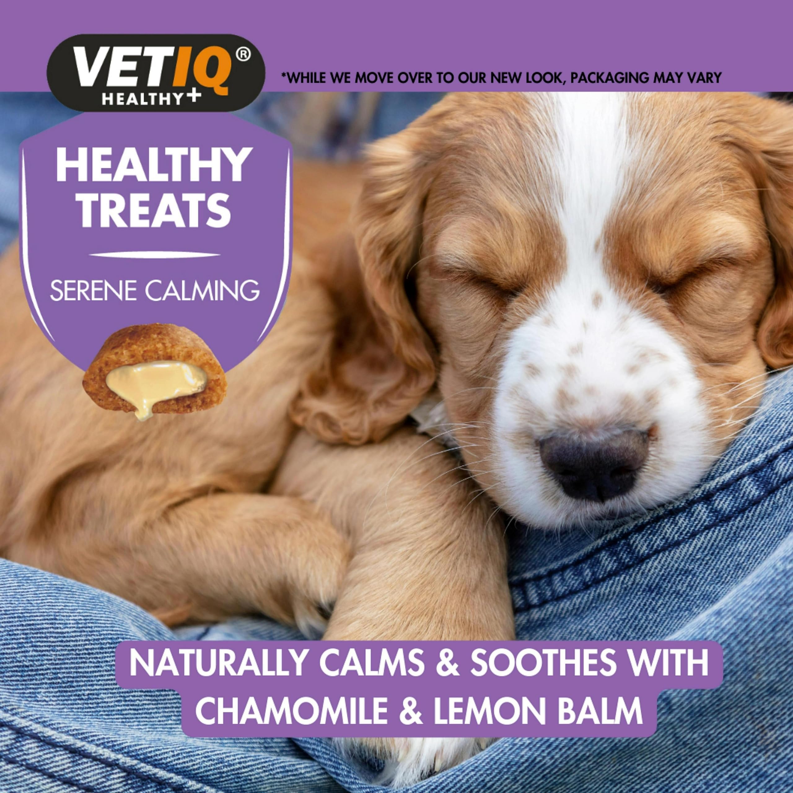 VETIQ Serene Calming Treats - Natural Anxiety Relief for Small Dogs & Puppies | 6 x 50g Bags 8