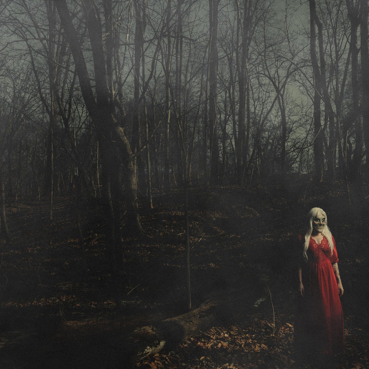 156/Silence - From A Distance [Vinyl]