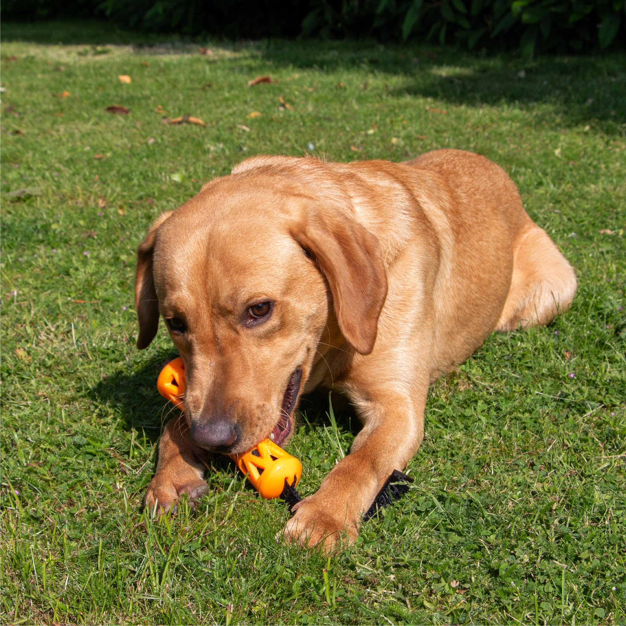 Ancol Extreme Floating Baton Dog Toy - Orange/Black, 25cm Length 4