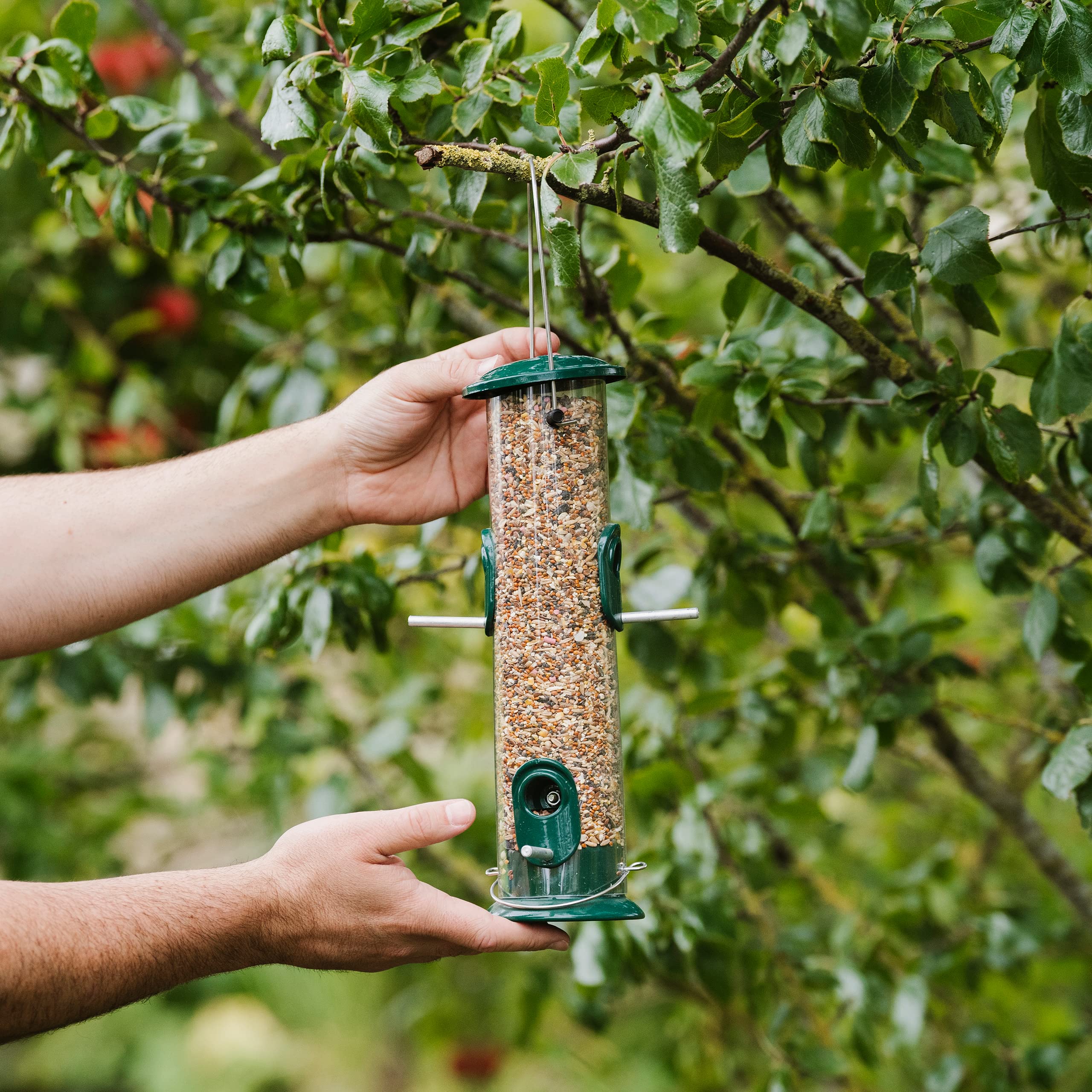 Peckish All Weather Metal Bird Seed Feeder - Large Capacity 700g | Hanging Mount | Durable Metal & Polycarbonate