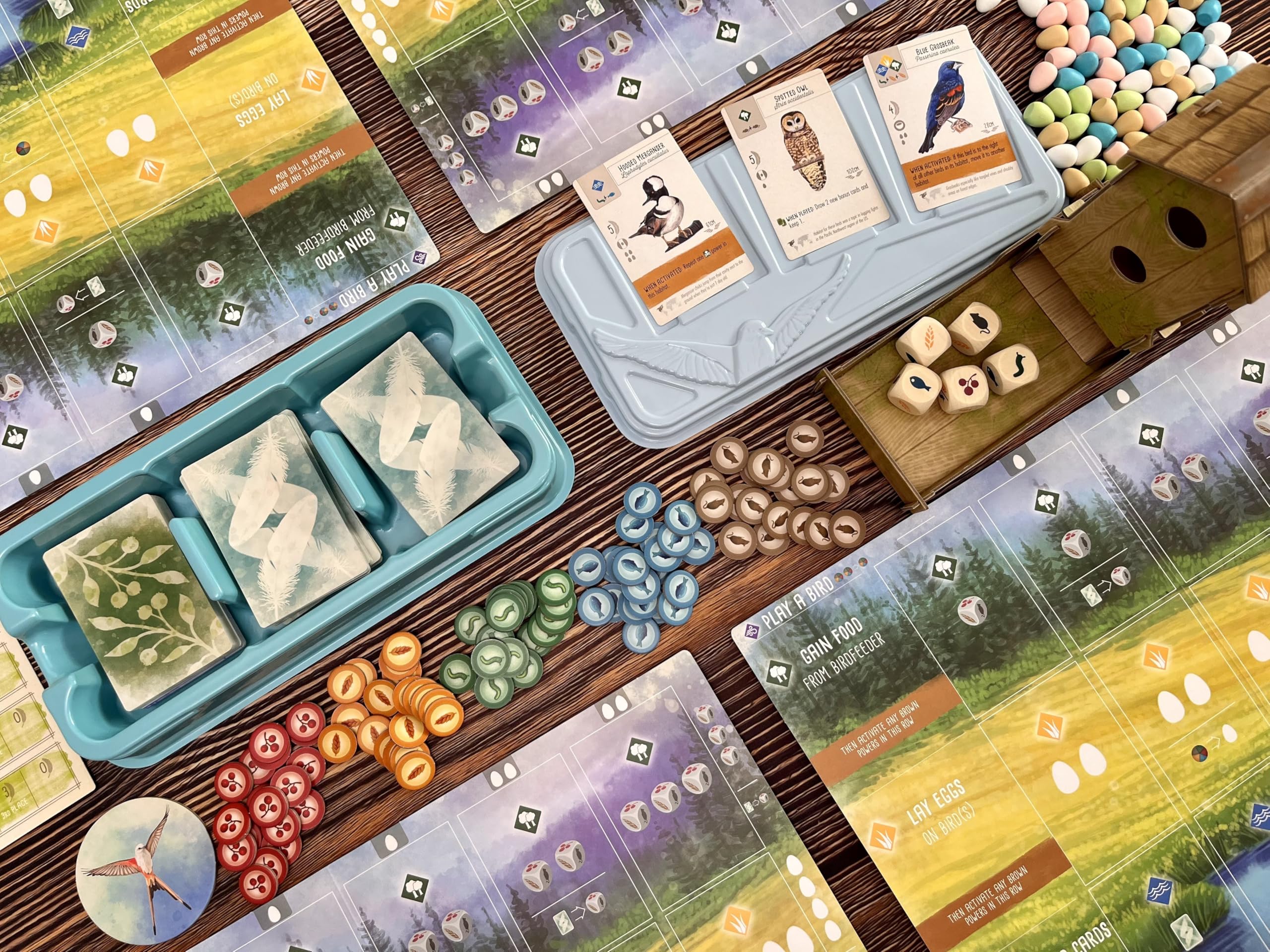 Stonemaier Games Wingspan 2nd Edition Board Game 12