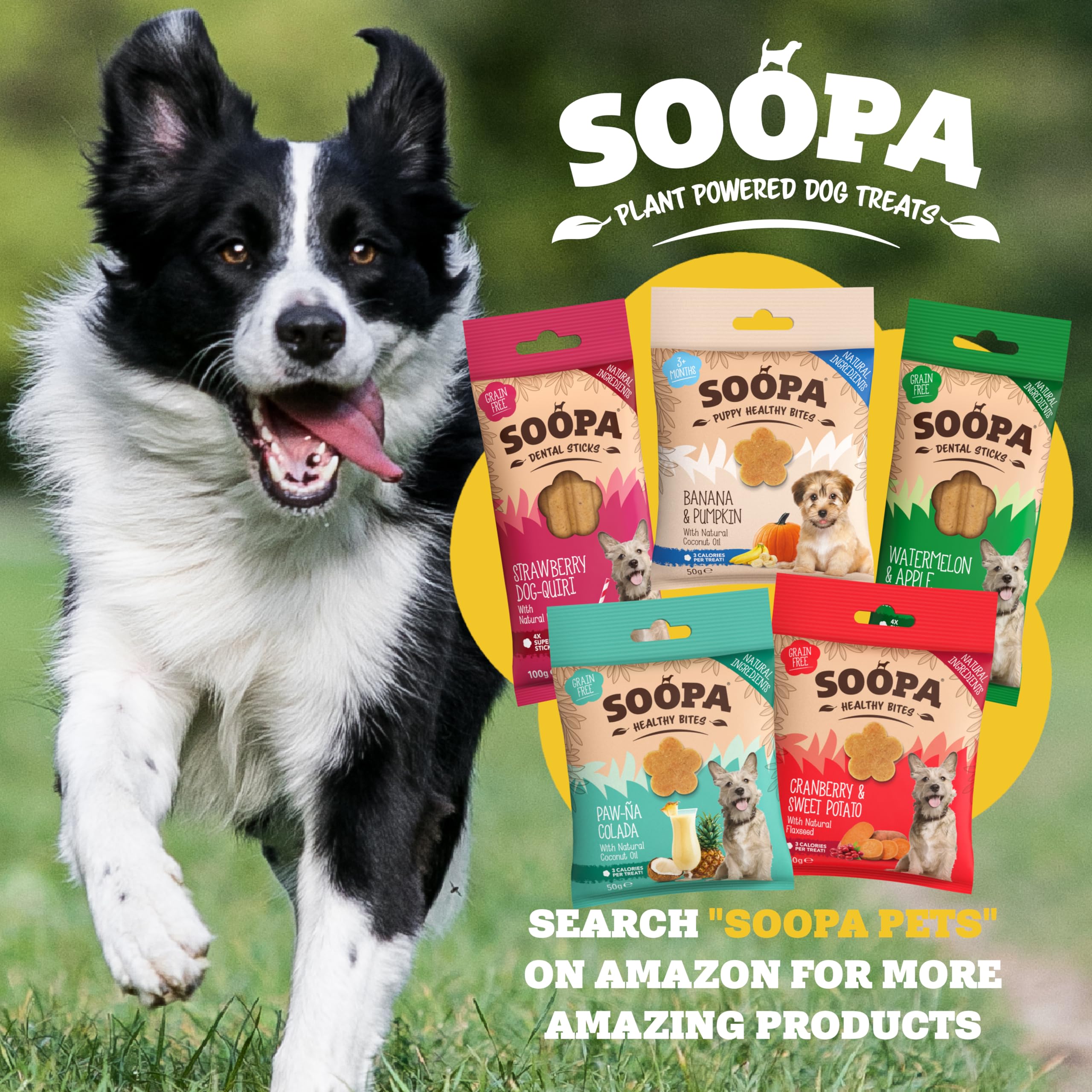 Soopa Grain Free Banana & Peanut Butter Dental Dog Treats - 4 Sticks | Low Fat 8
