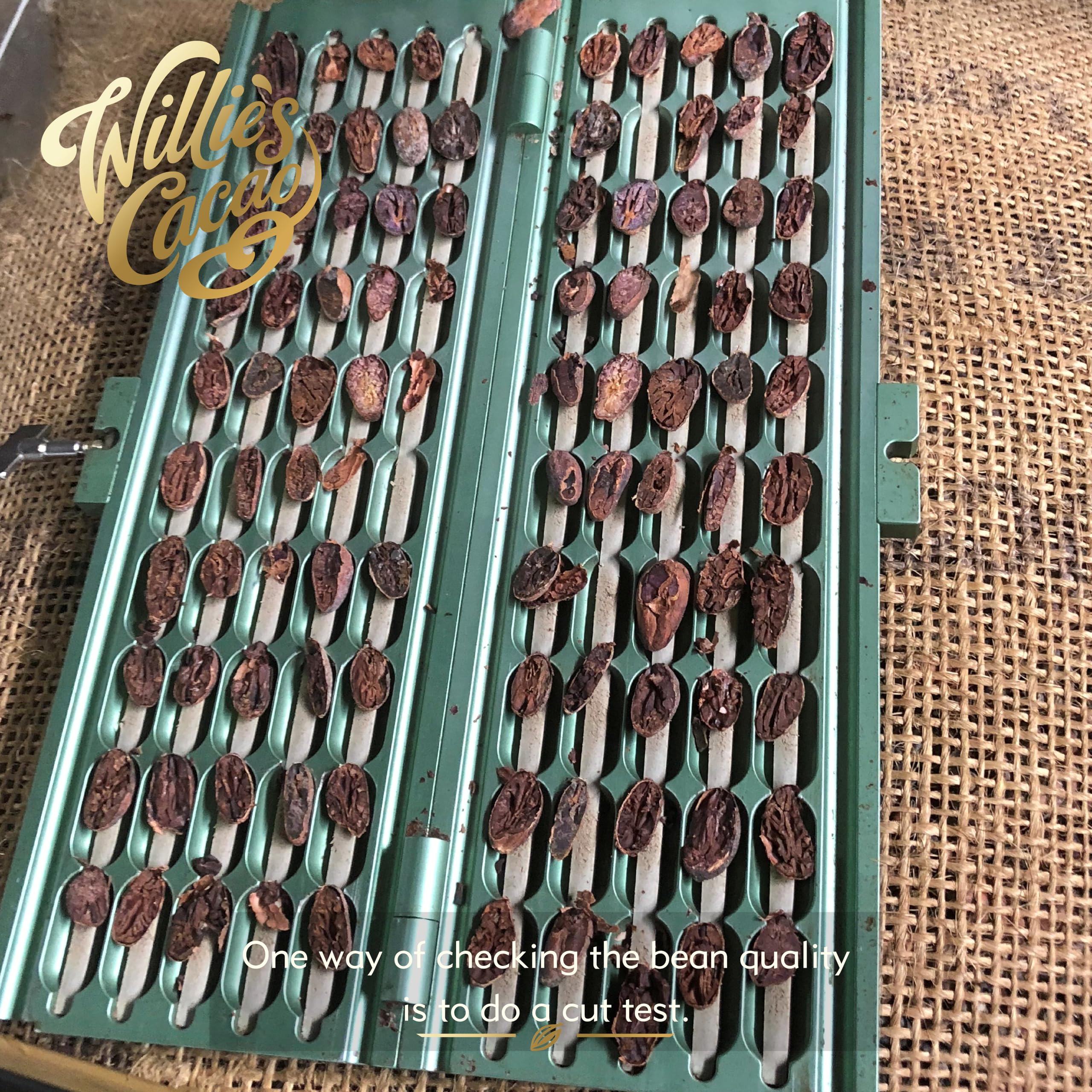 Willie's Cacao Bar - Milk of the Gods 44% Milk Chocolate - 50g Artisan Bean to Bar 10