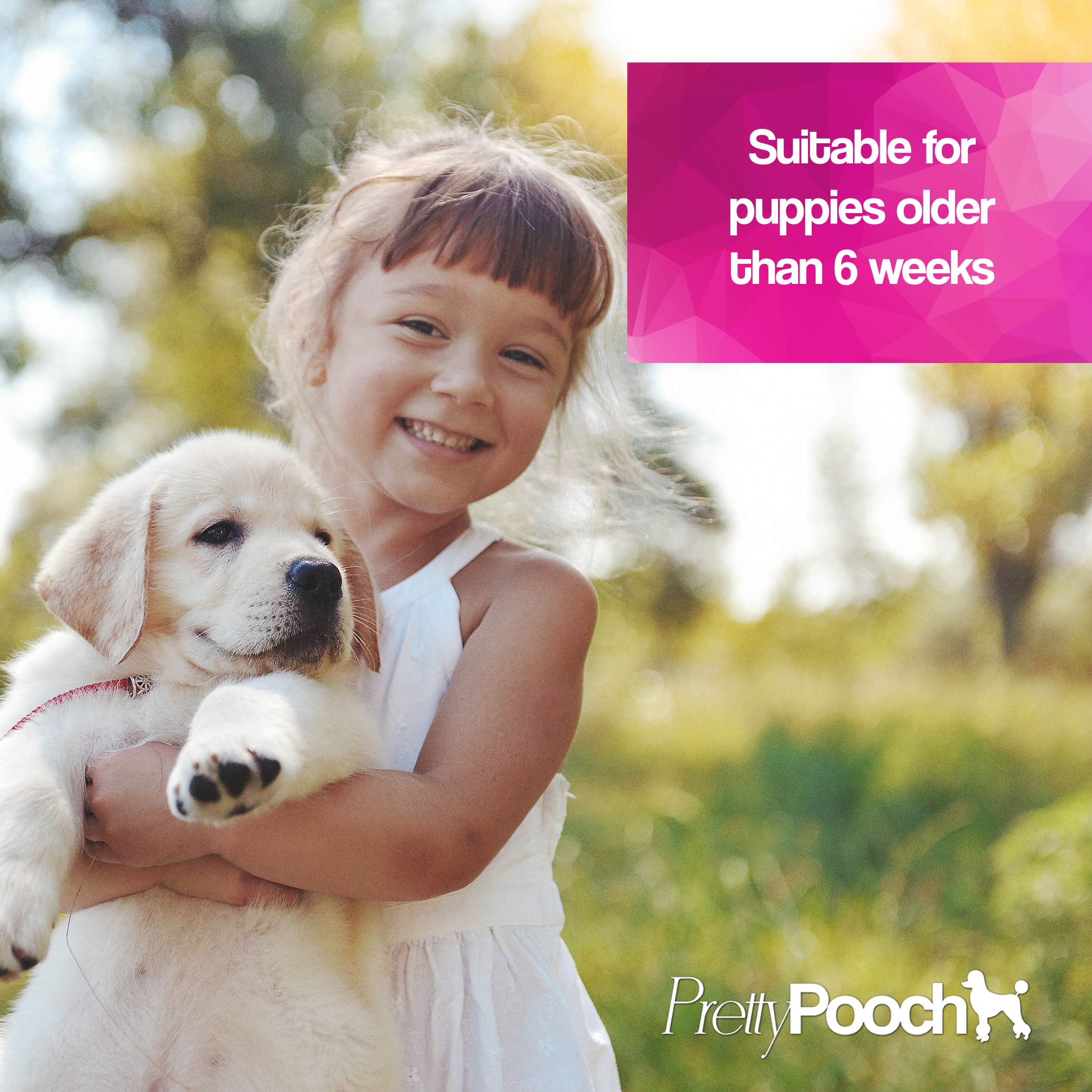 Pretty Pooch Dog Deodoriser Spray - Baby Powder Fragrance | 250ml 5