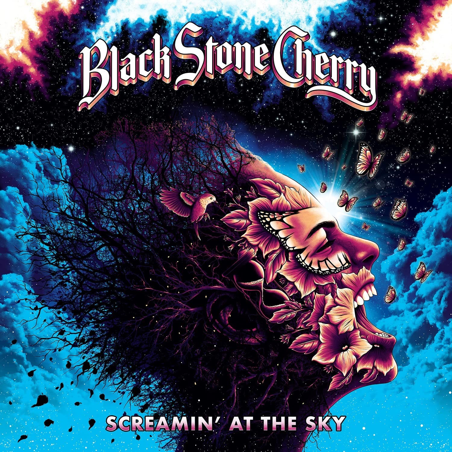 Black Stone Cherry - Screamin' At The Sky [Audio CD]