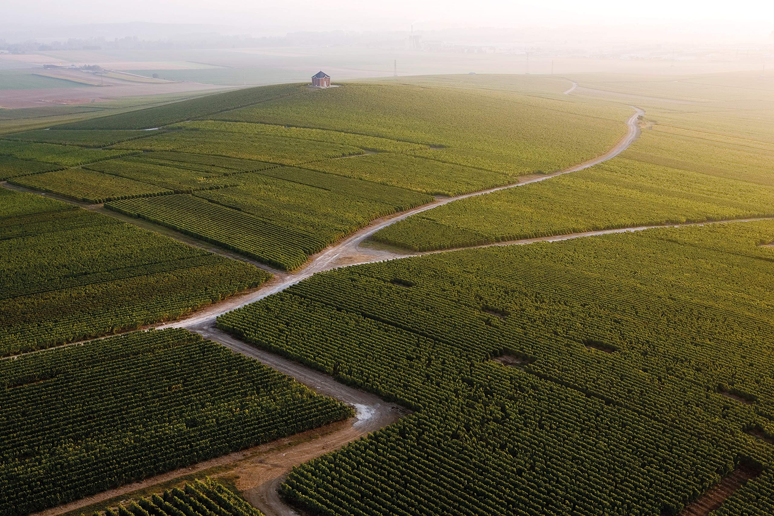 Moët & Chandon Impérial Brut Champagne 37.5cl Half Bottle 8