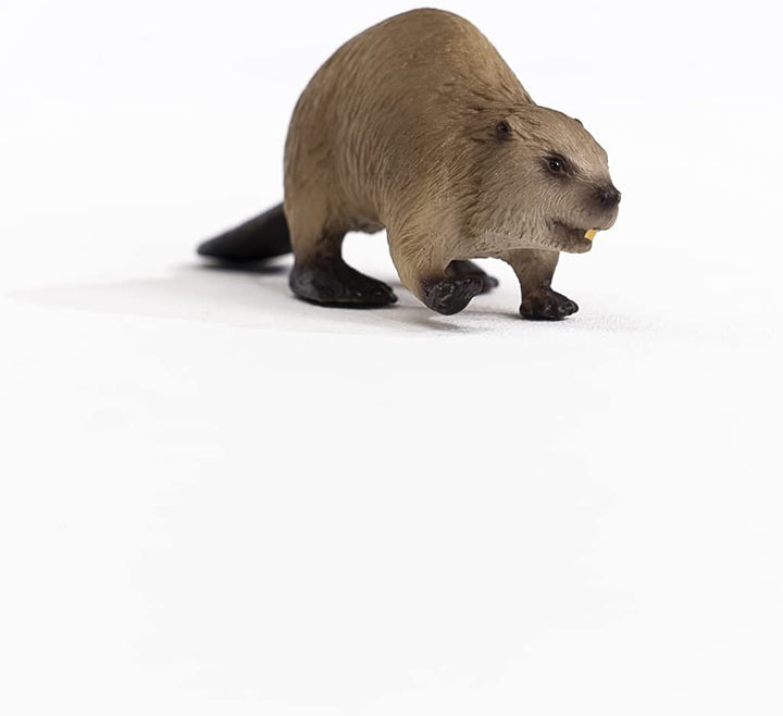 SCHLEICH 14855 Wild Life Biber Figur, Mehrfarbig