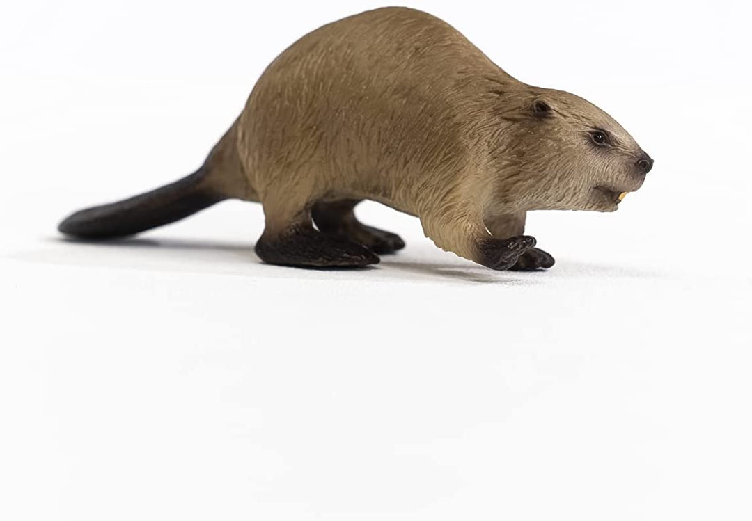 SCHLEICH 14855 Wild Life Biber Figur, Mehrfarbig
