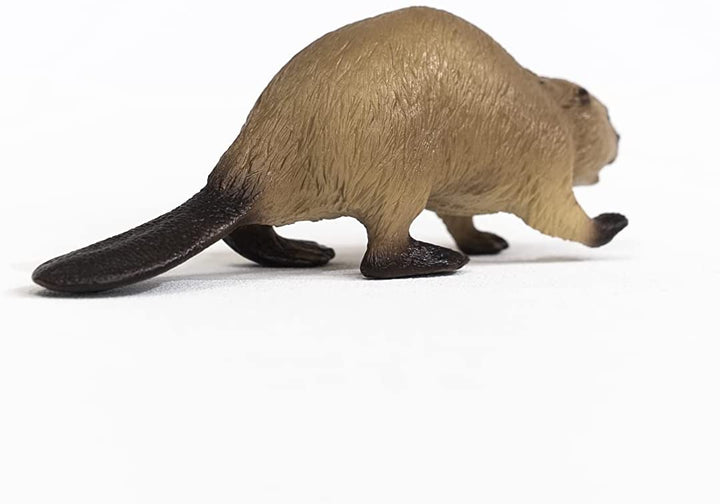 SCHLEICH 14855 Wild Life Biber Figur, Mehrfarbig