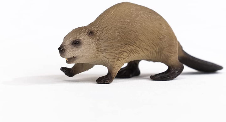 SCHLEICH 14855 Wild Life Biber Figur, Mehrfarbig