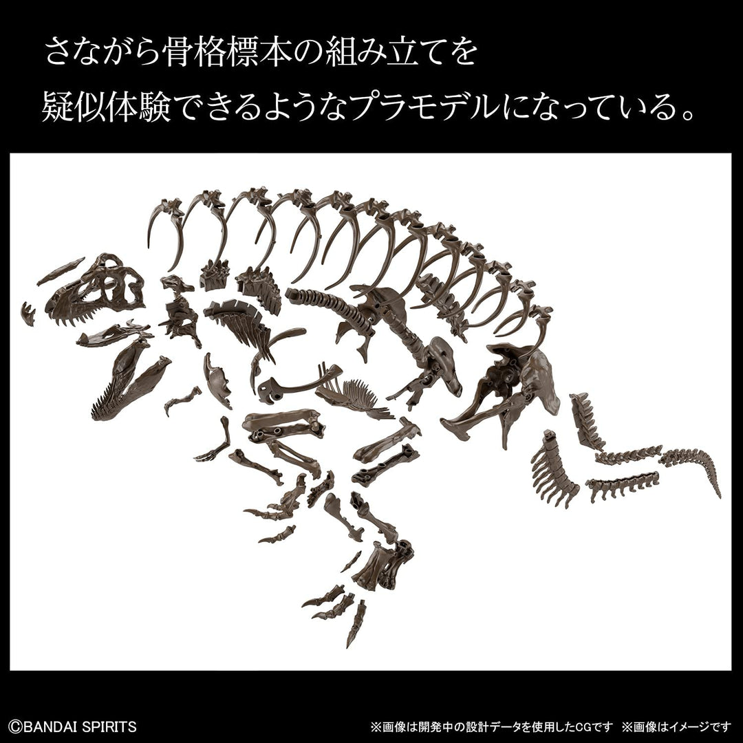 Bandai 1/32 Imaginary Skeleton Tyrannosaurus Model Kit (2569327)