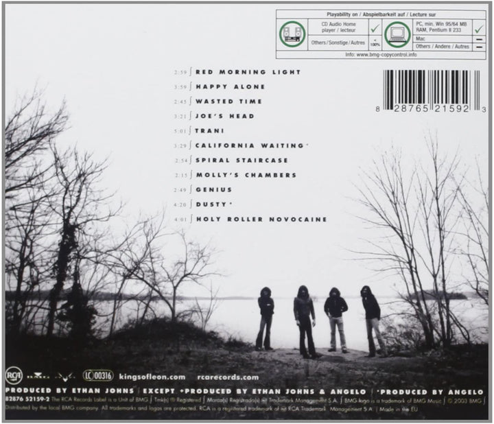 Jugend und junge Männlichkeit [Audio-CD]