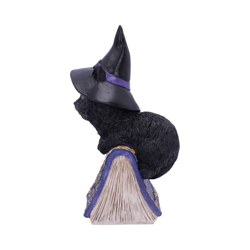 Nemesis Now Wiccan & Witchcraft Collection - Hocus Small Witches Familiar Black Cat and Spellbook Figurine 5