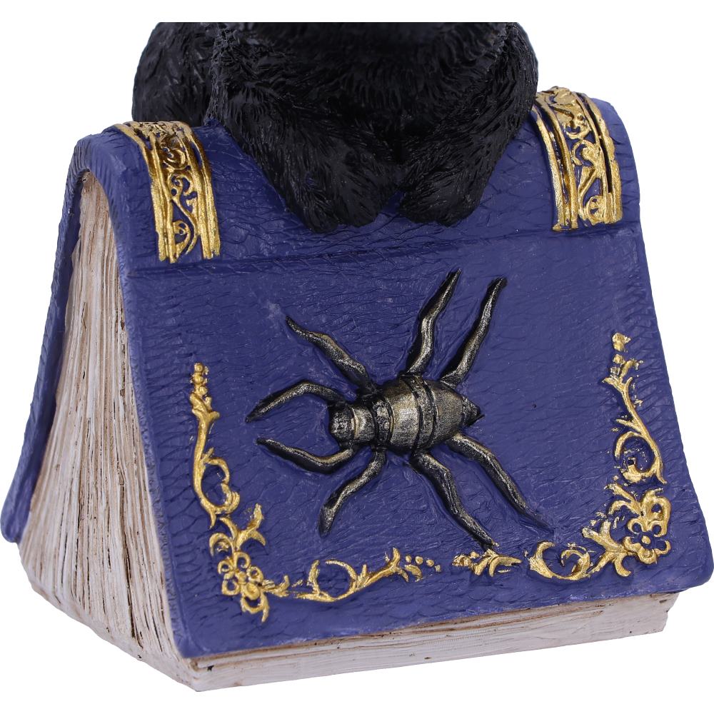 Nemesis Now Wiccan & Witchcraft Collection - Hocus Small Witches Familiar Black Cat and Spellbook Figurine 8