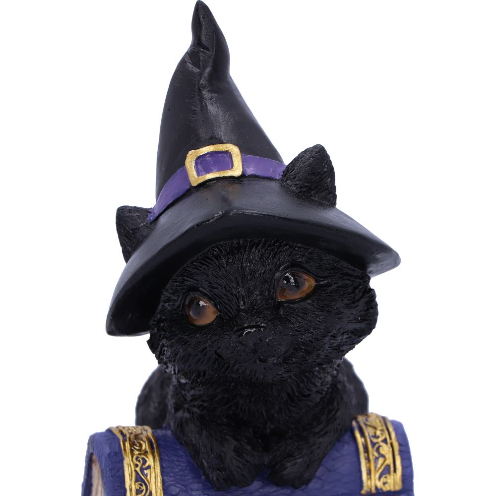 Nemesis Now Wiccan & Witchcraft Collection - Hocus Small Witches Familiar Black Cat and Spellbook Figurine 4