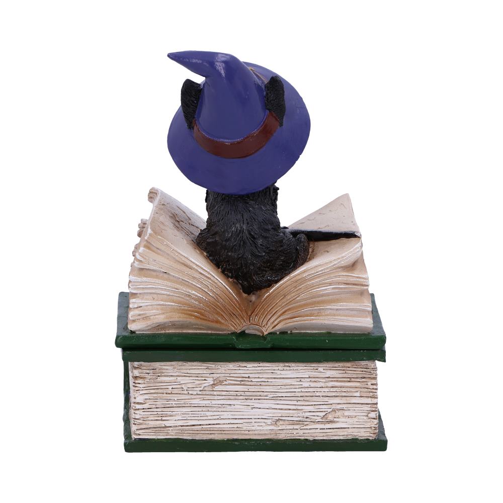 Nemesis Now Wiccan & Witchcraft - Binx Small Witches Familiar Black Cat and Spellbook Figurine Box 6