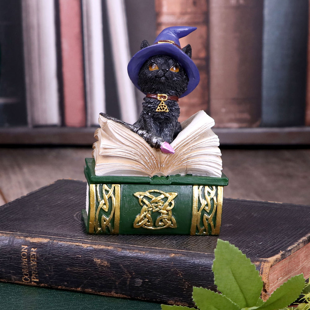 Nemesis Now Wiccan & Witchcraft - Binx Small Witches Familiar Black Cat and Spellbook Figurine Box 1